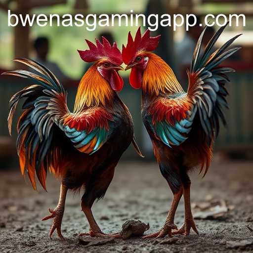 The Controversial World of Cockfighting: A Comprehensive Exploration with BwenasGaming